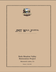 Journal cover 2025