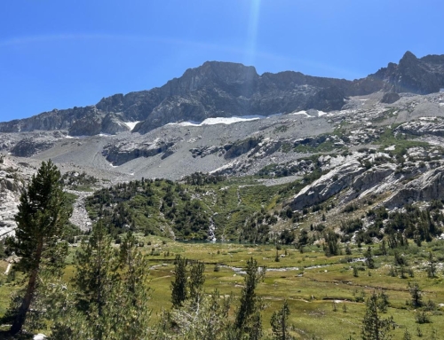 Water Habitat Carbon