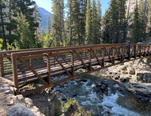 South Fork San Joaquin River Footbridge Repaired